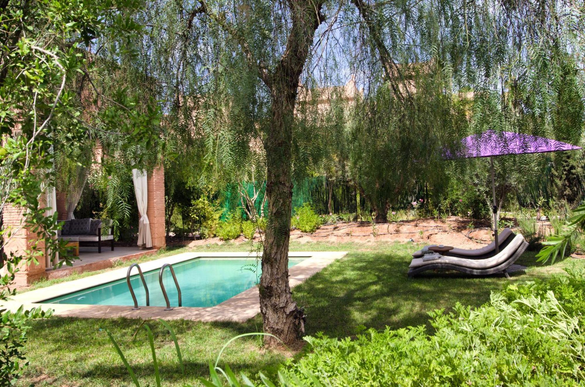 ติกมิซา สวีทส์ แอนด์ พาวิเลียน Hotel Ouled Jelal ห้อง รูปภาพ The garden of the Riad